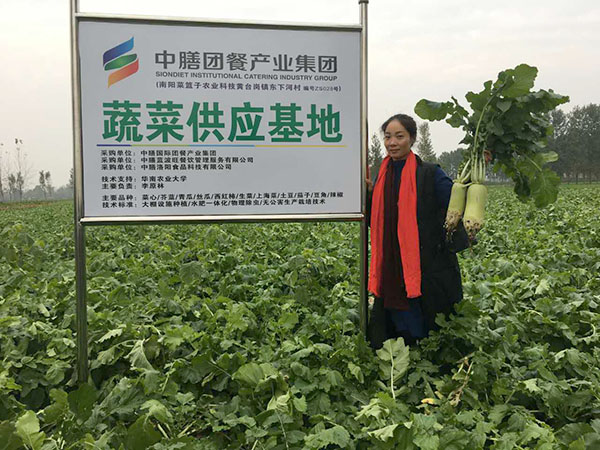 中膳蔬菜供应基地