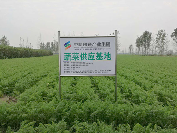 中膳蔬菜供应基地